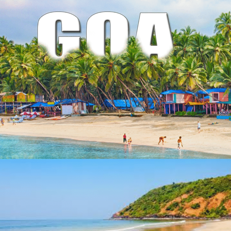 Goa 768x768